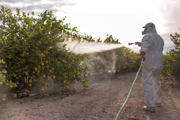 Professional Pest Control in Piedmont, MO