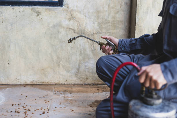 Best Best Pest Control Near Me  in Piednt, MO
